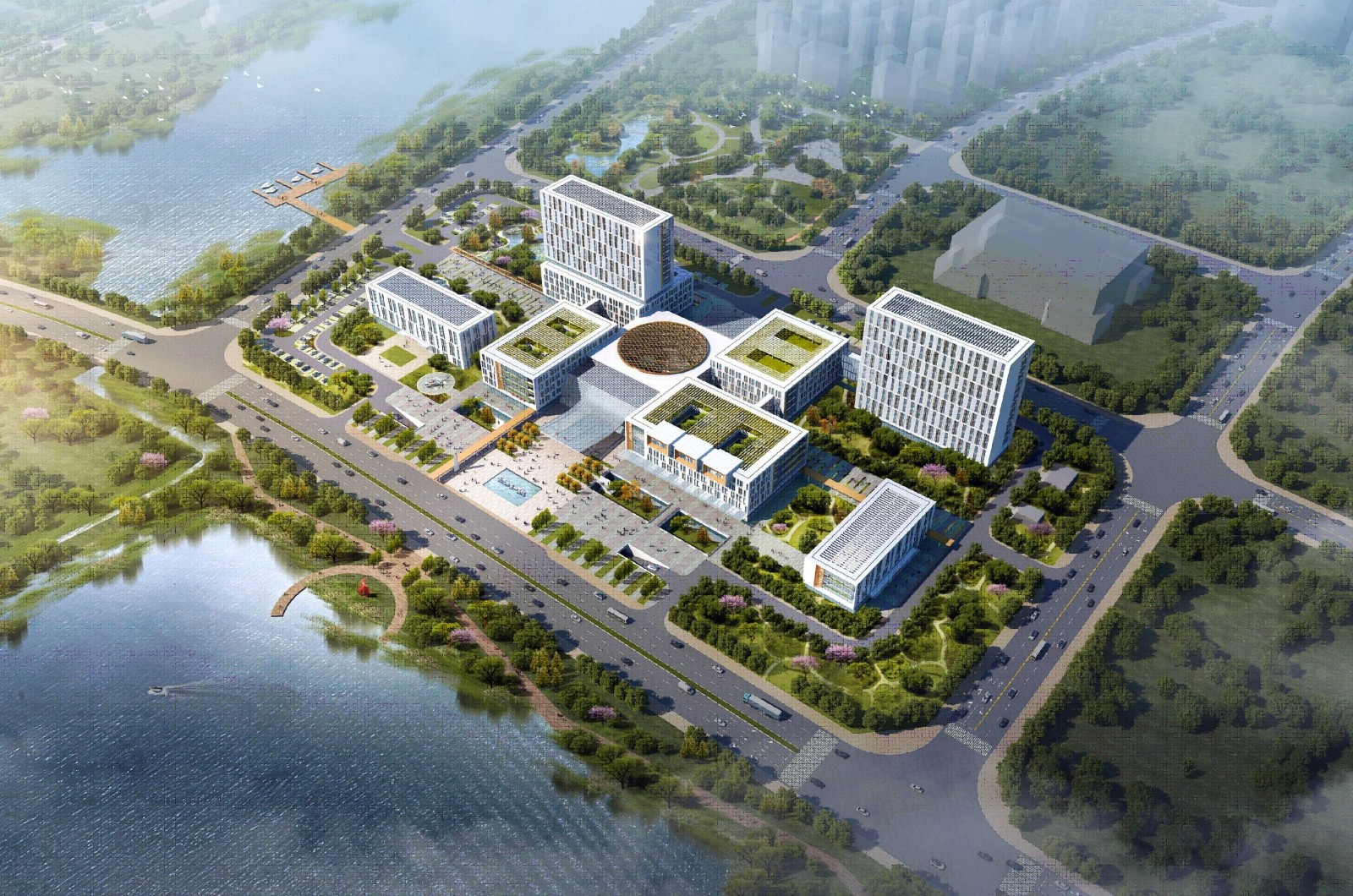 武汉市第一医院盘龙城医院建设项目（一期）项目尊龙凯时.jpg